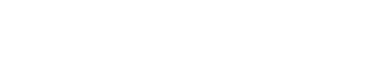 הקו המהיר